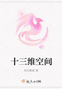 Thirteen Dimensional Space