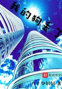 My Dog ​​is Lost