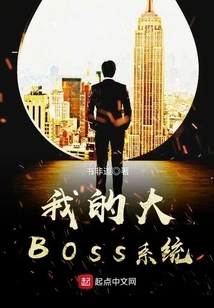 My Big Boss System