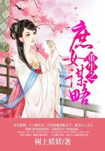 Rebirth of the Concubine's Strategy