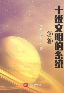 A System from a Tenth-level Civilization