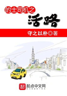 The Life of a Taxi Driver