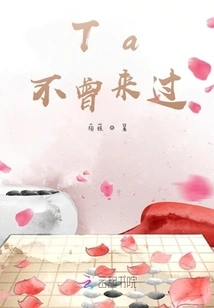 She Has Never Been Here