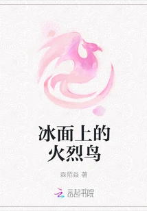 Flamingos on the Ice