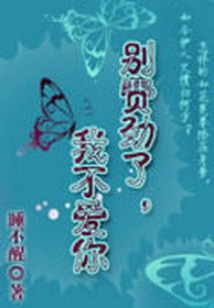 Don't Bother, I Don't Love You