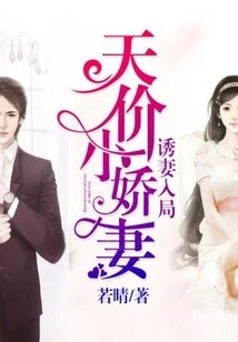 Lure the Wife into the Game: the Exorbitantly Priced Little Wife