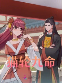 Cat Wheel Nine Lives