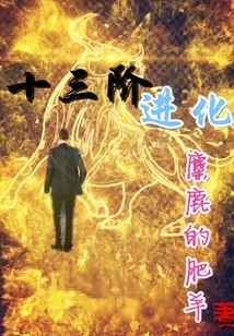 Thirteenth Level Evolution