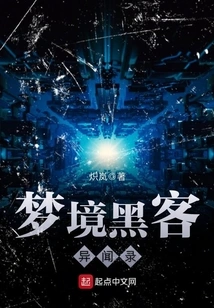 Dream Hacker Anecdote