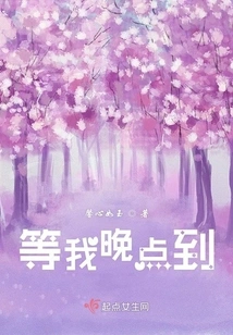 Wait for Me to Arrive Later