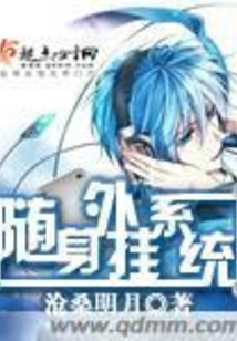 Portable Plug-in System