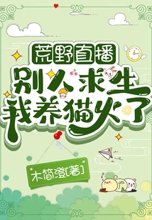 Wilderness Live Broadcast: I Raised a Cat When Others Were Trying to Survive and Became Popular