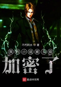 My Novel Has Been Encrypted by S Level