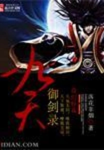 Nine Heavens Sword Record