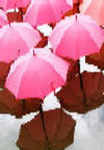 Marry You, I Am Willing