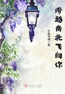 Flying to You Across North and South