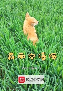 Forest Rain Empty Desert Sea