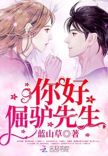 Hello, Mr. Stubborn Donkey