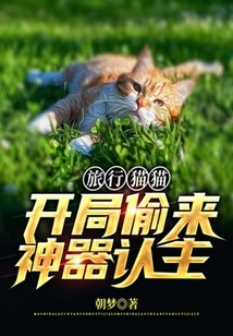 Traveling Cat: Steal the Artifact at the Beginning and Identify Its Owner