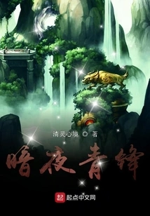 Dark Night Qingfeng
