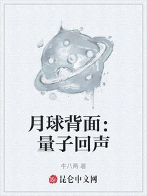 Far Side of the Moon: Quantum Echoes