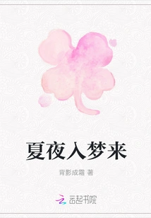 Summer Night Comes to Sleep