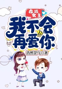 The Fugitive Heroine: I Will Never Love You Again