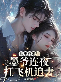 Divorce! Mr. Mo Carried a Plane All Night to Chase His Wife