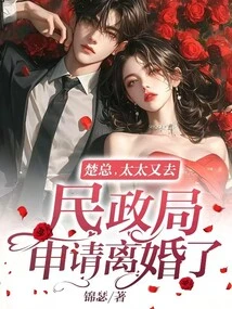 Mr. Chu, My Wife Went to the Civil Affairs Bureau to Apply for Divorce Again