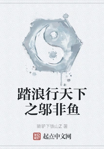 Wu Feiyu, Who Travels the World on Waves