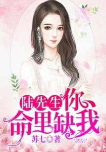 Mr. Lu, You Are Missing Me in Your Life