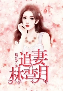 Chasing His Wife Lin Wanyue