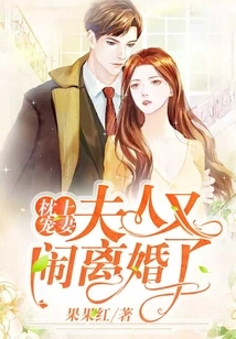 Doting on My Wife on the Pillow: My Wife is Getting Divorced Again