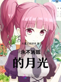 Moonlight That Never Degausses