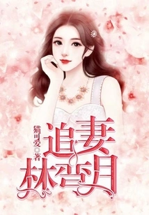 Chasing His Wife Lin Wanyue