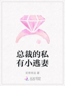 The Ceo's Private Little Runaway Wife