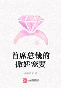 The Chief Executive's Arrogant Wife