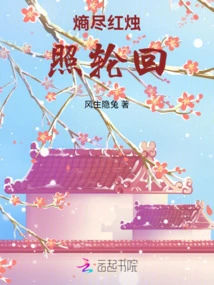 Entropy is Exhausted and the Red Candle Illuminates Reincarnation