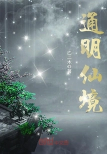 Transparent Wonderland