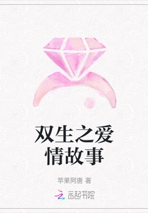 Twin Love Story