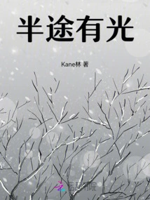 There is Light Halfway