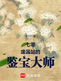 Treasure Appraisal Master at 70 Scrap Station