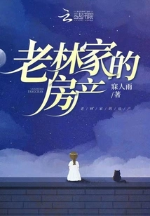 Lao Lin's Real Estate