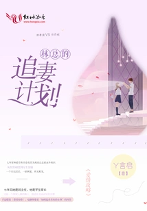 Mr. Lin's Plan to Chase His Wife