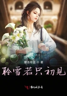 Listen to Snow If You Only Meet for the First Time