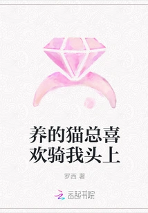 My Cat Always Likes to Ride on My Head