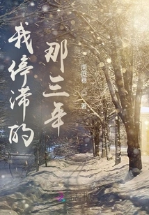 The Three Years When I Was Stagnant