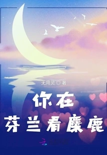 You See Elk in Finland