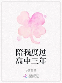 Accompany Me Through Three Years of High School