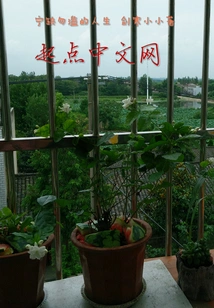 It's Better to Live a Life of Lack Than of Excess